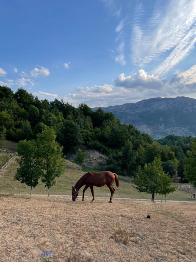 Etno Village Vojnik Savnik Exteriör bild