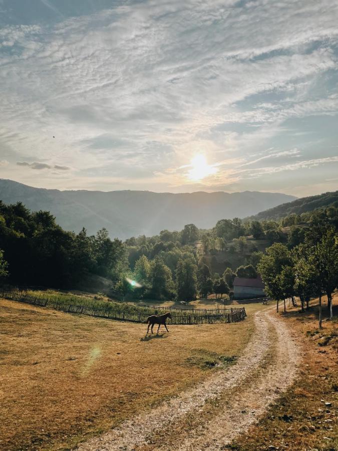 Etno Village Vojnik Savnik Exteriör bild