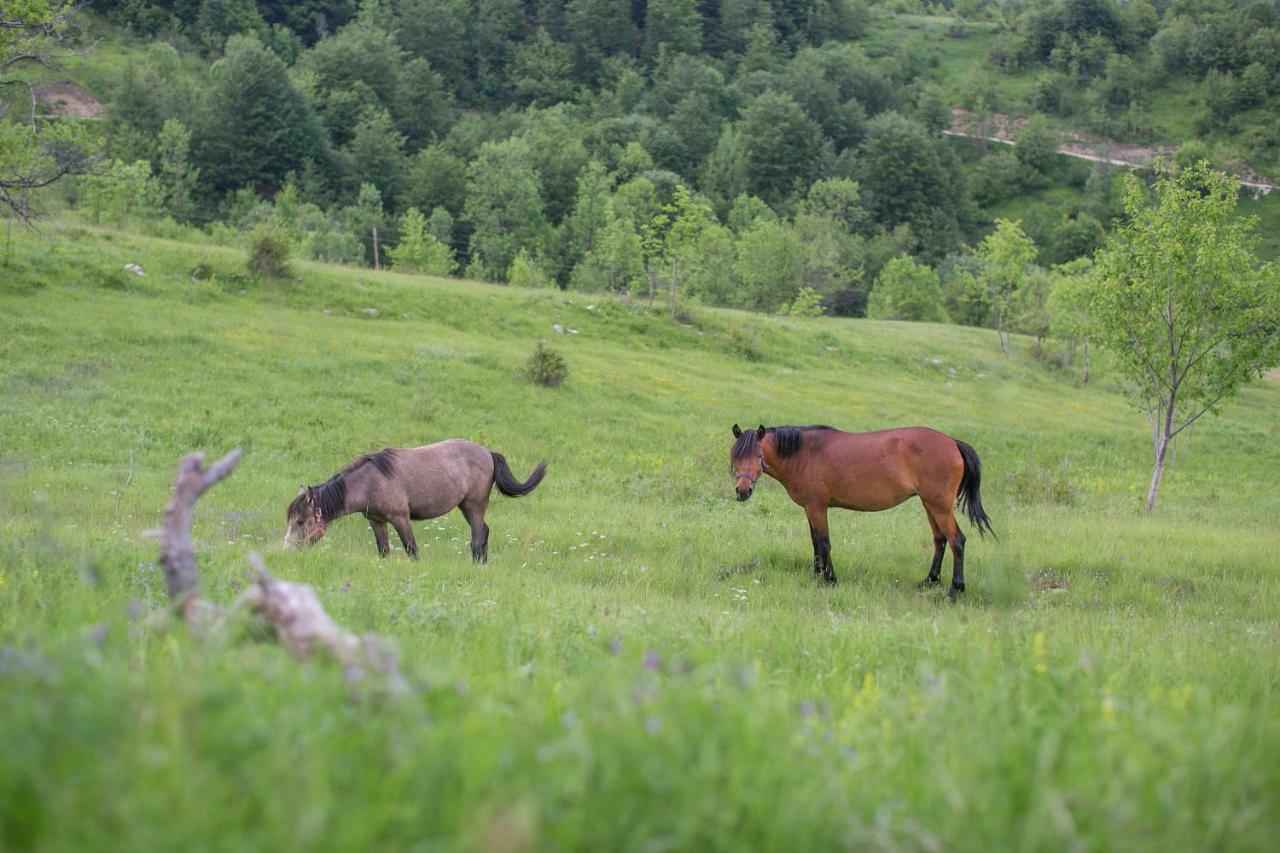 Etno Village Vojnik Savnik Exteriör bild